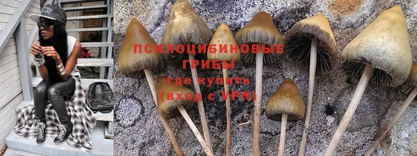 дурь Алзамай