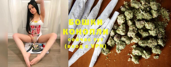 винт Пестово
