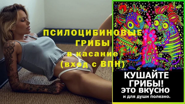 дурь Алзамай
