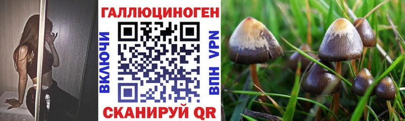 Псилоцибиновые грибы Psilocybine cubensis  наркошоп  Чаплыгин 